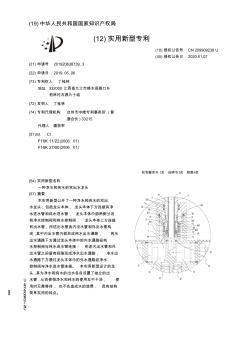 【CN209909238U】一种净水和纯水的双出水龙头【专利】