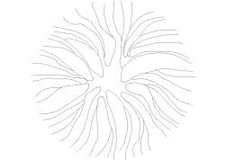 【设计图纸】树图块-雨树(平面)(精美CAD图例)