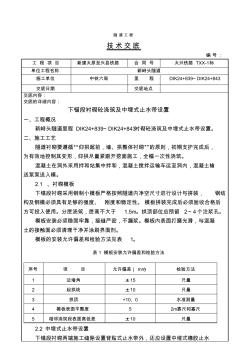 下锚段衬砌砼浇筑及中埋式止水带技术交底