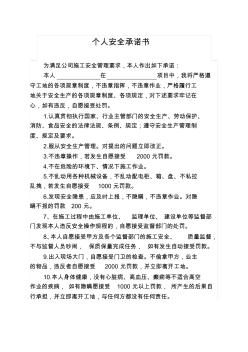 個(gè)人安全承諾書