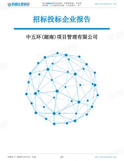 中五环(湖南)项目管理有限公司-招投标数据分析报告
