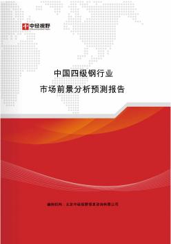 中国四级钢行业市场前景分析预测报告(目录)