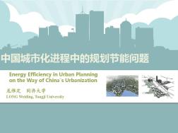 中国城市化进程中的规划节能问题(EF)