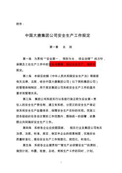中国大唐集团公司安全生产工作规定