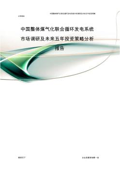中国整体煤气化联合循环发电系统市场调研及未来五年投资策略分析报告