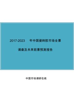 中国瓷砖胶市场调查报告 (2)