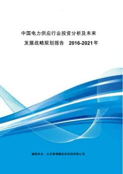 中国电力供应行业投资分析及未来发展战略规划报告2016-2021年
