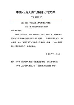 中国石油天然气集团公司健康安全环境(HSE)管理原则