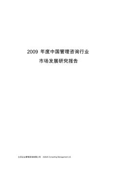 中国管理咨询行业发展报告全文版