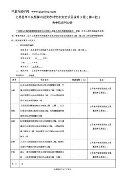 中央预算内投资农村饮水招投标书范本