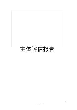 主体评估报告