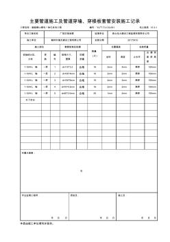 主要管道施工及管道穿墙、穿楼板套管安装施工记录