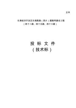 乐清经济开发区乐海围垦道路网建设工程技术标