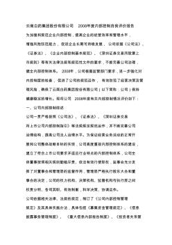 云南白药集团股份有限公司2008年度内部控制自我评价报告