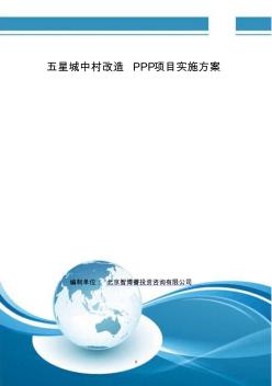 五星城中村改造PPP项目实施方案(编制大纲)