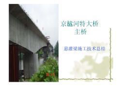 京杭运河特大桥主桥悬灌梁施工技术总结_pdf