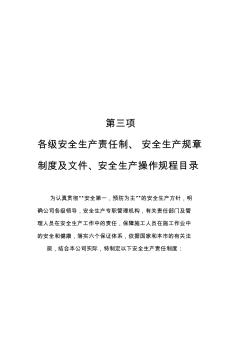 公司各级安全生产责任制、安全生产规章制度及文件、安全生产操作规程目录