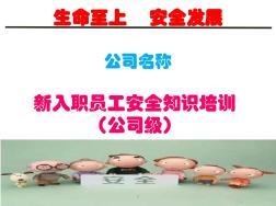 公司级新员工入职安全教育培训ppt课件