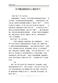 关于整治景观亮化工程的学习