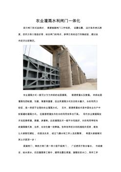 农业灌溉水利闸门一体化
