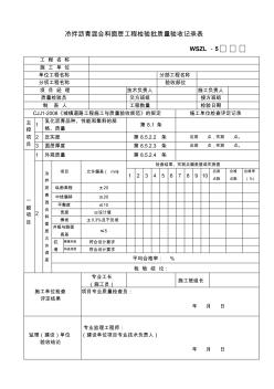 冷拌沥青混合料面层工程检验批质量验收记录表