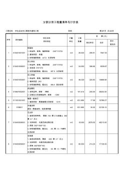 分部分项工程量清单与计价表 (9)