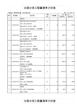 分部分项工程量清单计价表(一)