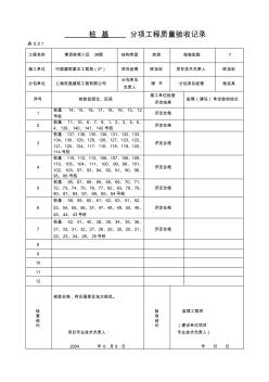 分项工程质量验收记录 (10)