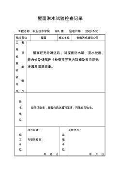 功能性试验记录 (2)