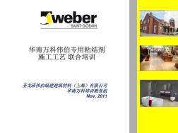 华南某地产伟伯专用瓷砖粘结剂施工工艺联合培训