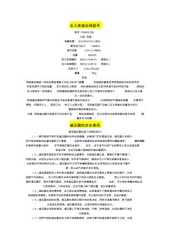 压力表减压阀型号及安全使用方法 (2)