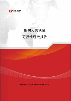 厨房刀具项目可行性研究报告(目录)