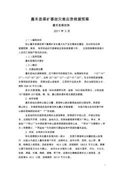 嘉禾县煤矿事故灾难应急救援预案
