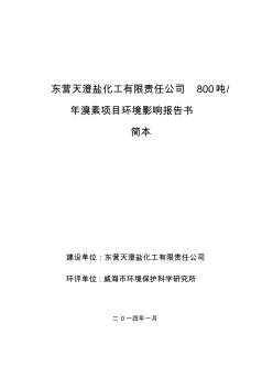 噶米东营天澄盐化工有限责任公司800吨年溴素项目环境影响报告书