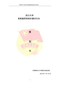 四川大學基層團組織建設論壇策劃方案