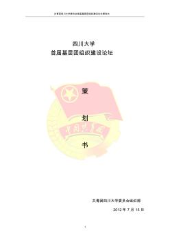 四川大学基层团组织建设论坛策划方案