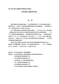 四川省公路工程超声回弹综合法检测(1)