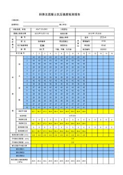 回弹法检测混凝土强度计算表(自动计算) (2)