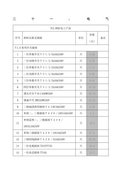 國際電工產(chǎn)品