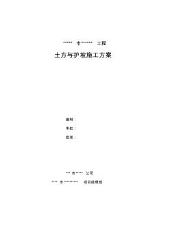 土方、护坡方案 (3)