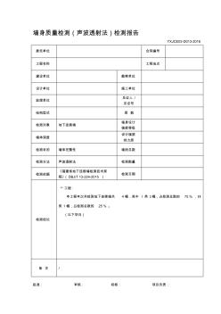 地下連續(xù)墻墻身質(zhì)量檢測(cè)(聲波透射法)檢測(cè)報(bào)告重點(diǎn)