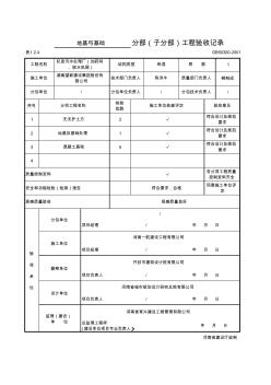 地基与基础分部(子分部)工程验收记录 (2)