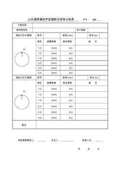 基桩声波透射法现场记录表