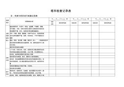 塔吊日常检查记录表 (2)