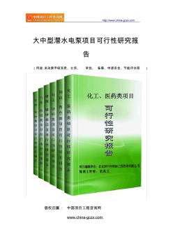 大中型潜水电泵项目可行性研究报告范文格式(专业经典案例)