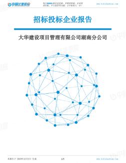 大华建设项目管理有限公司湖南分公司-招投标数据分析报告