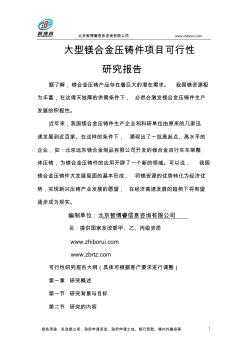 大型鎂合金壓鑄件項目可行性研究報告