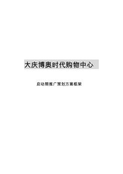 大庆博奥时代购物中心启动期推广策划方案框架