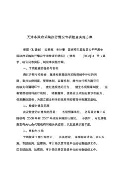 天津市政府采购执行情况专项检查实施方案
