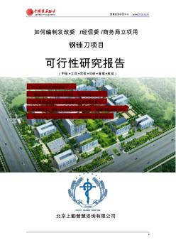 如何编制发改委立项用钢锉刀项目可行性研究报告(甲级-发改委-经信委-商务局-备案-核准)